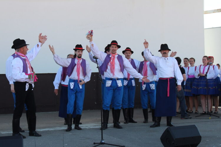 Holíčske folklórne slávnosti Zdroj: Mesto Holíč