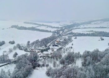 Chvojnica autor: Vladimír Miček NaZahorí