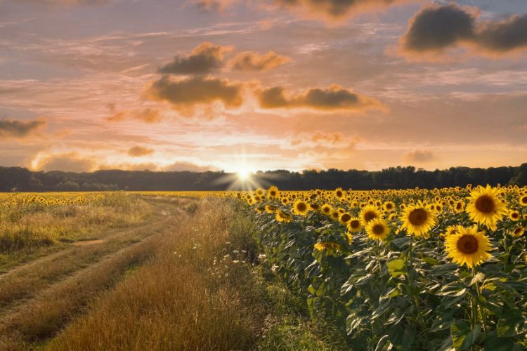 Víťazné foto odbornej poroty: Pri Sekulách, autorom je Marek Včelka.