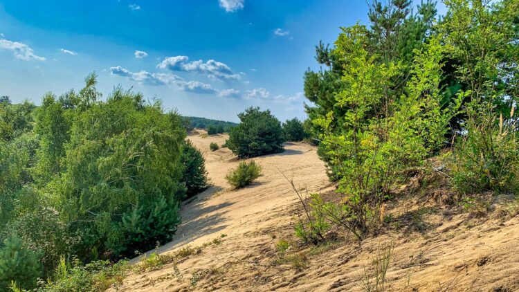 Šranecké piesky - Slovenská Sahara