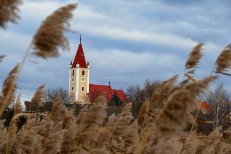 Kostol Nanebovzatia Panny Márie, Plavecký Štvrtok Autor: Vladimír Miček NaZáhorí