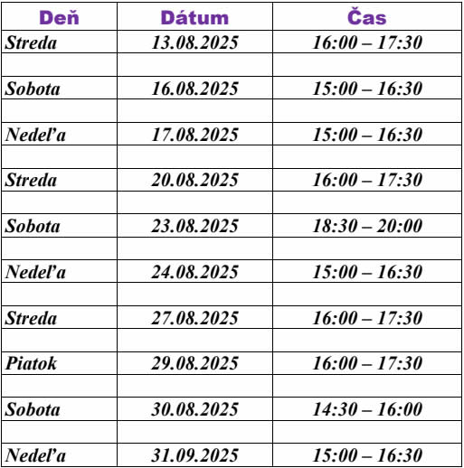 Ľad v Senici pre verejnosť Zdroj: RSMS