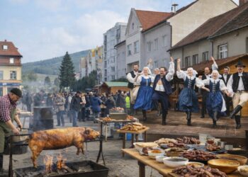 Reprofoto NaZáhorí
zdroj: Mesto Brezová pod Bradlom a FS Brezová