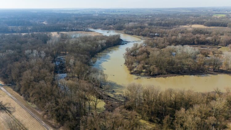 revitalizácia Moravy zdroj Slovenský vodohospodársky podnik