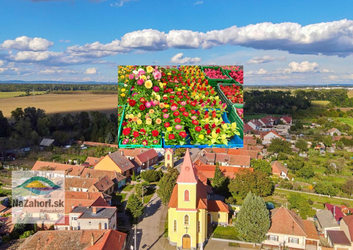 reprofoto Kátov a kvetiny zdroj: Vlado Miček NaZáhorí