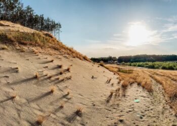 Slovenská Sahara Šranecké piesky Ekocentrum Stupava