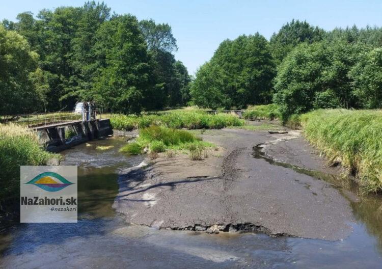 zdroj foto: MO SRZ Malé Leváre – Veľké Leváre
