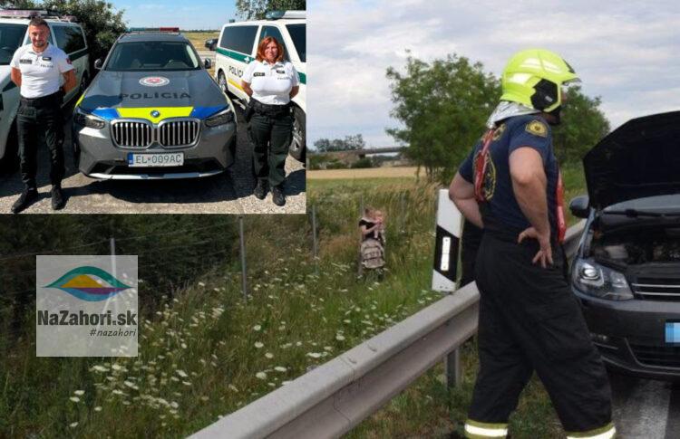 Pomoc polície a hasičov v núdzi zdroj reprofoto polícia TT kraj